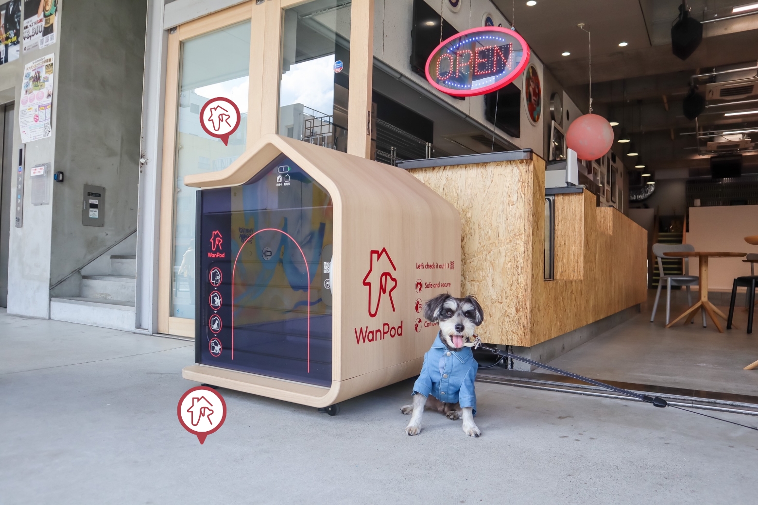 WanPodの前に座る犬