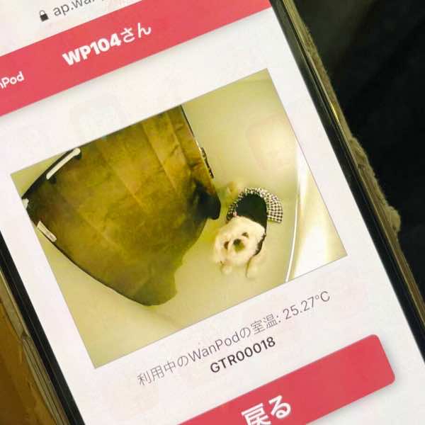 ご利用者の声01