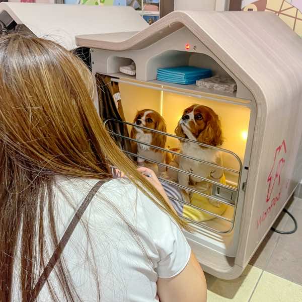 ご利用者の声01